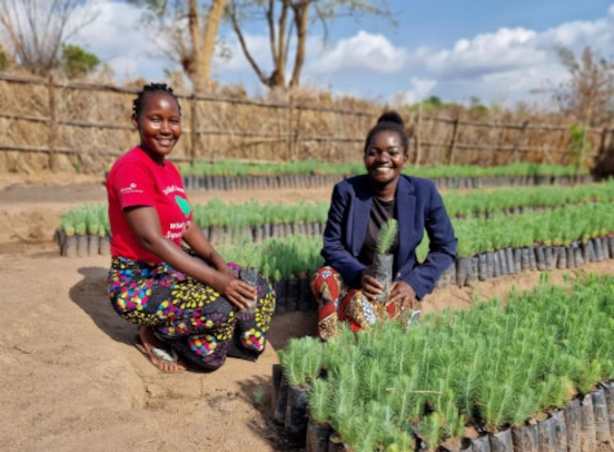 An image of two people tending plants